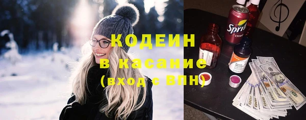 хмурый Лиски