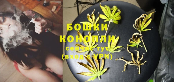 хмурый Лиски