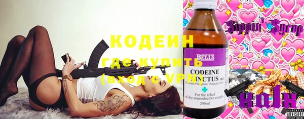хмурый Лиски