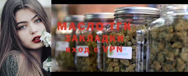 хмурый Лиски