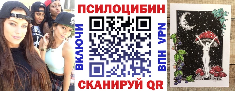Псилоцибиновые грибы мухоморы  ссылка на мегу вход  Яранск  купить  цена 